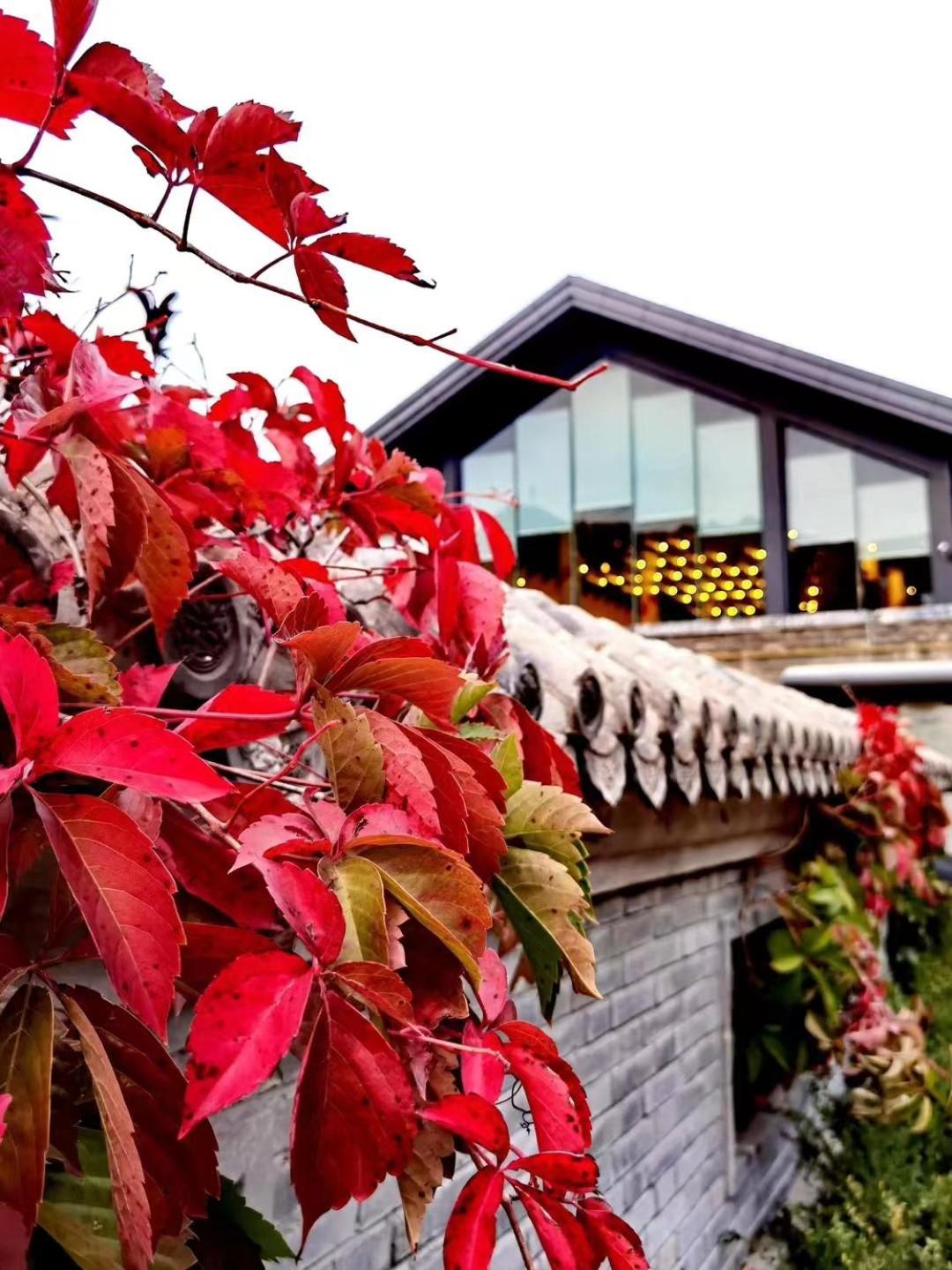 Jinshanling Great Wall Hotel 청더 외부 사진